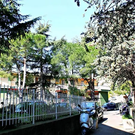 Citta Dei Fiori * Sanremo